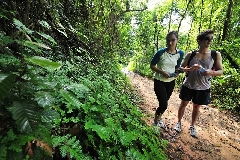 Jungle Hiking