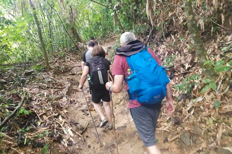 Jungle Hiking